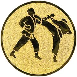 Emblém E78 Karate